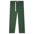 Studio Work Pant - Malachite